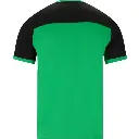 fz-forza-fz-forza-alberti-m-s-s-t-shirt-perfect-gr (1).webp