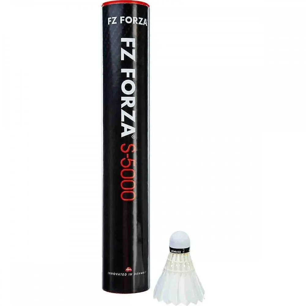 FZ Forza S-5000 (77)